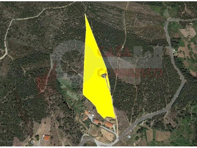 Pampilhosa da Serra Pampilhosa da Serra 97123572