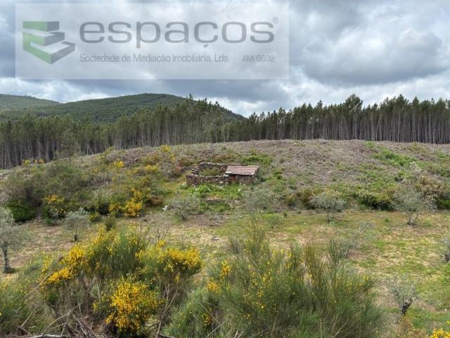 Pampilhosa da Serra Pampilhosa da Serra LS102667505