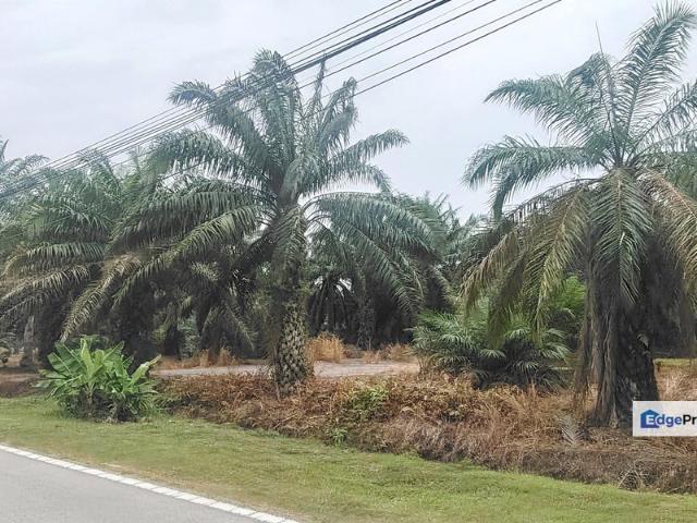 Pantai Remis