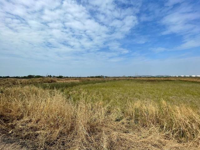 Panvel, 4946 Sq.Ft. Plot in Panvel Navi Mumbai Listing ID: #10132