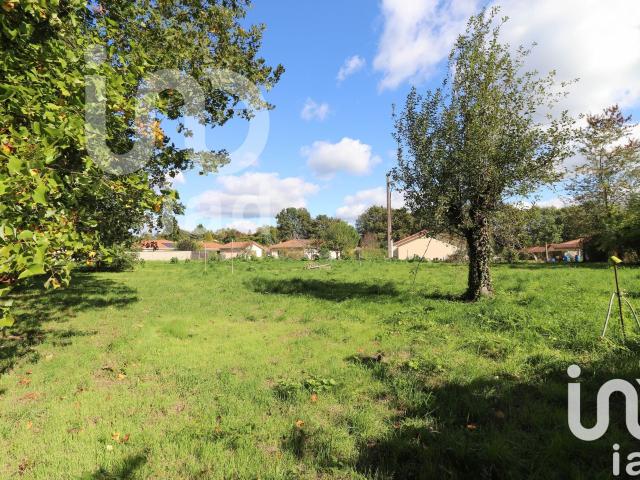 Panazol Vente Terrain 87