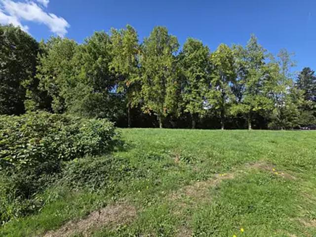 Panazol 87350 Achat / Vente terrain