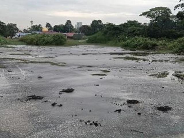 Pandamaran