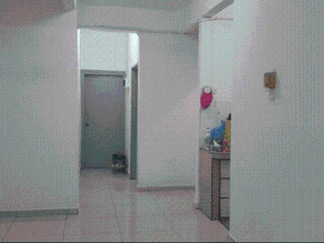 Pandan Perdana