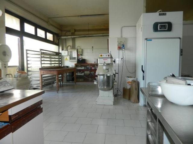 Panificio Produzione in vendita a Castelnuovo Magra