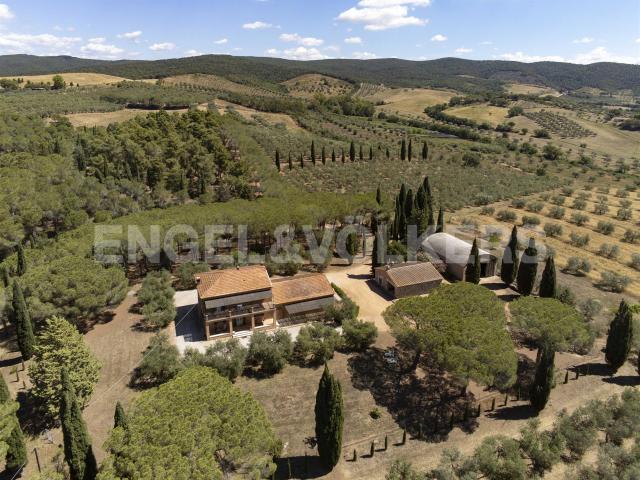 Panorama E Uliveto: Un Angolo Di Relax In Maremma 350m² Gavorrano