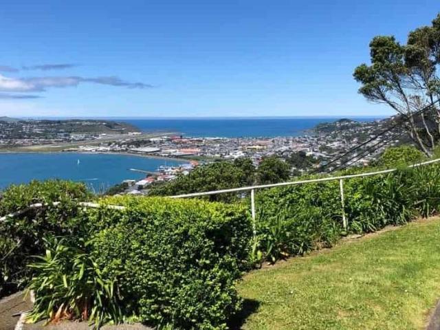 Panoramic views over Hataitai