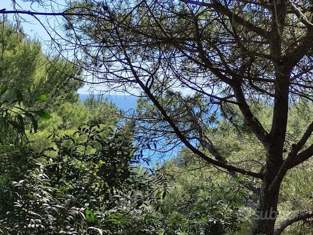 Panoramica villa mediterranea