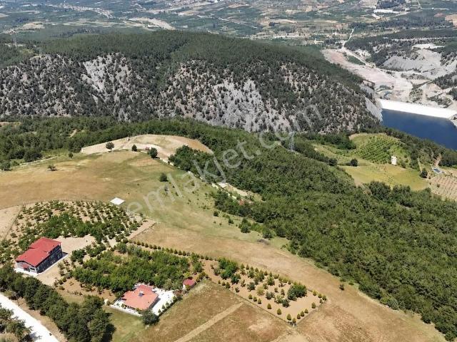 Panoramik Dağ Manzaralı, Meyve Bahçeli Eşsiz Yaşam Alanı