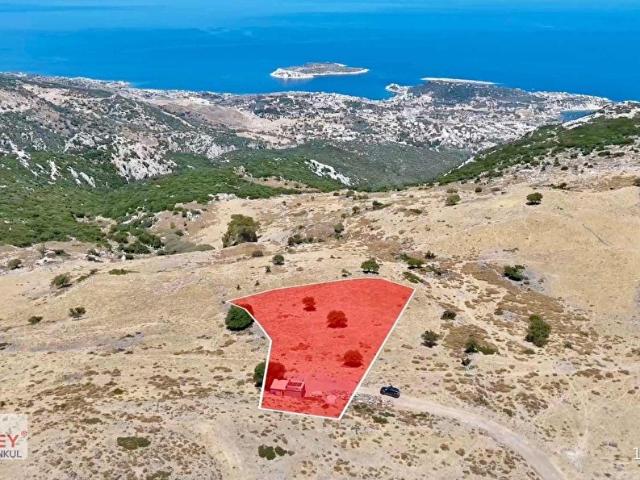 Panoramik Deniz Manzaralı Tarla