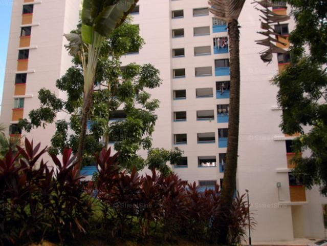 Panshan Grove Bukit Panjang, HDB Executive