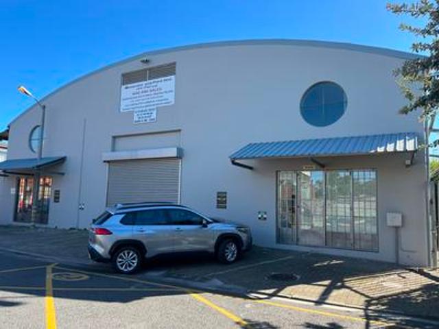paarden eiland high visibility plus.