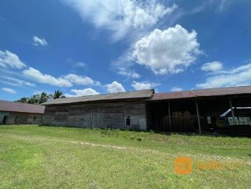 Pabrik dan Kebun Kelapa Sawit Desa Karossa Mamuju Tengah