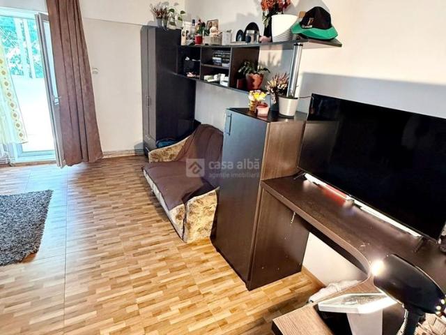 Pacurari, 1 camera mobilat si utilat, liber, CAT FRIENDLY