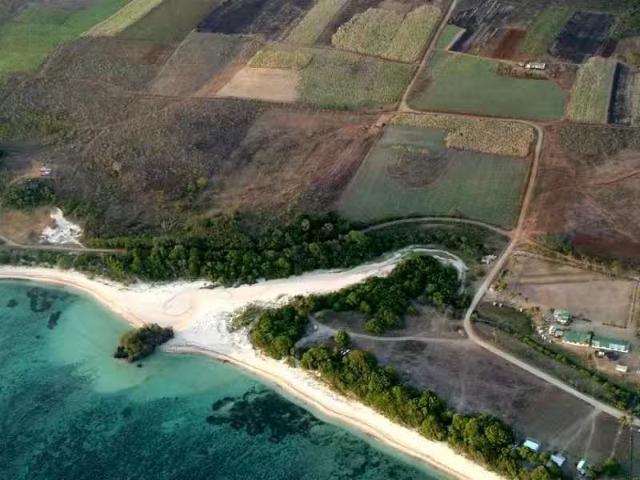 Pacific Islands Address withheld