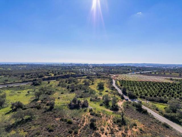 Paderne Algarve 94947889