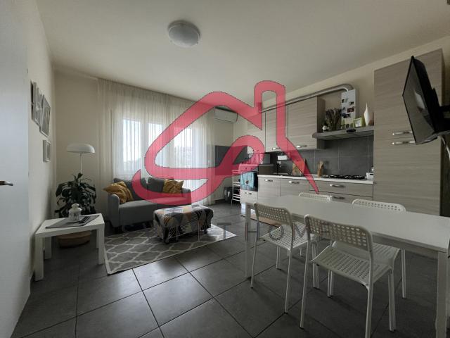 Padova Stanga appartamento in locazione 55 mq