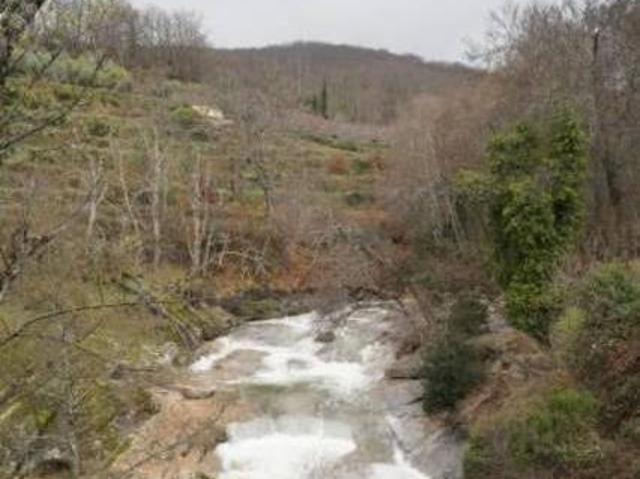 Pago de Yuste Cuacos De Yuste Cáceres