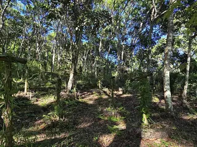 Païta 98889 Achat / Vente terrain
