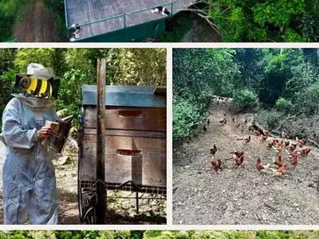 Païta 98889 Achat / Vente divers