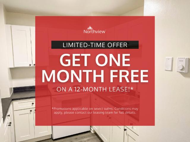 Paige & Downsview 2 Bedroom 1 Bath [object Promise] for Rent
