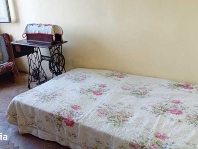 Pajura 3 camere doar pentru studenti
