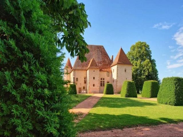 Palais de 500 m² en vente Avermes, France