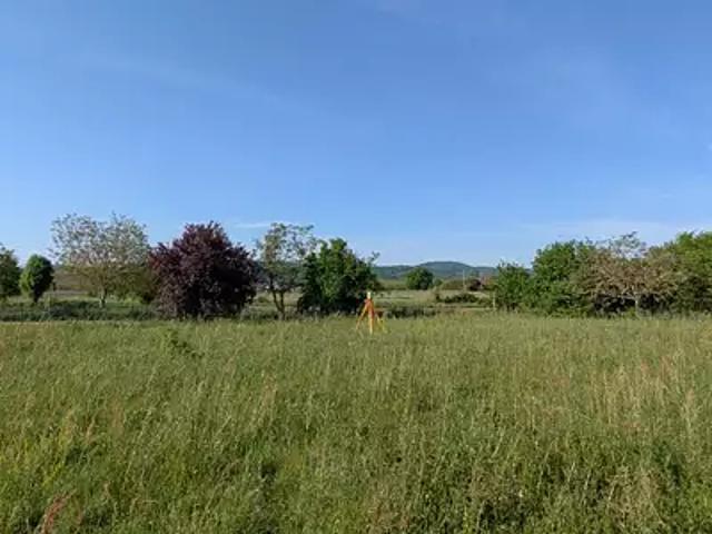 Palaminy 31220 Programme neuf terrain neuf à vendre