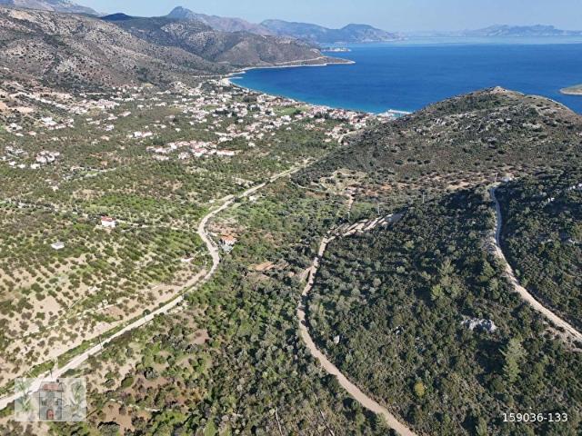 PALAMUTBÜKÜ'NDE UYGUN FİYATLI DENİZ MANZARALI ARSA