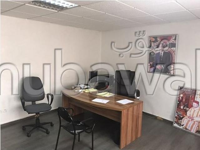 Palateau de bureau lpb 480 de 250 m² à palmier