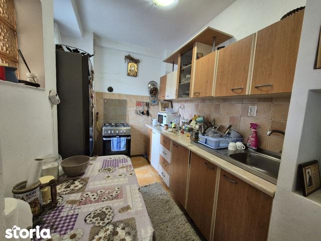 Palazu Mare Vila P+1E cu teren 1.400 mp. Ideal rezidential / resedinta