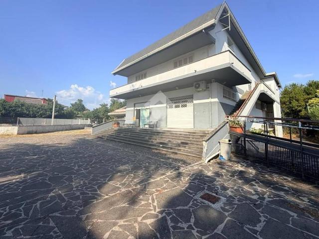 Palazzina commerciale in affitto a Frosinone