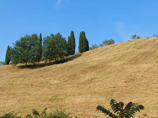 Palazzina commerciale in vendita a Firenze
