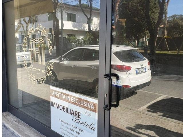 Palazzina commerciale in vendita a Forte Dei Marmi