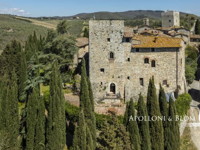 Palazzo Medievale con torre in Chianti Classico, parco e pis. 798m² Gaiole in Chianti