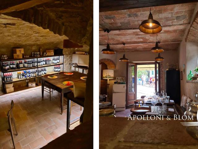 Palazzo Del 1700 In Centro Con Giardino, Radda In Chianti 302m² Radda in Chianti