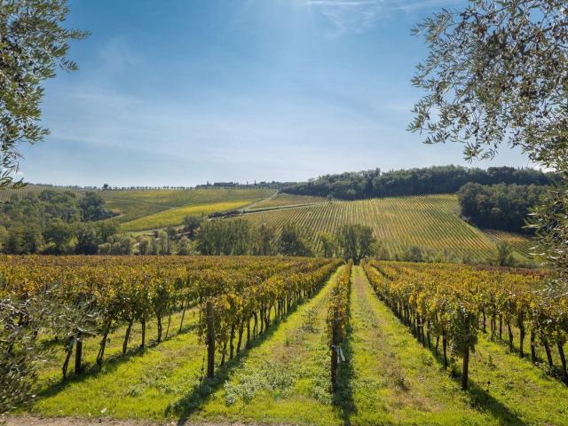 Palazzo della Quercia con vigneti e uliveto in Chianti, Sien. 2433m² Siena