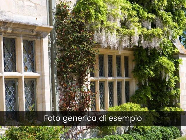 Palazzo in affitto a Rozzano