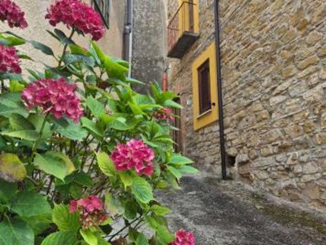 Palazzo in Vico Zerno