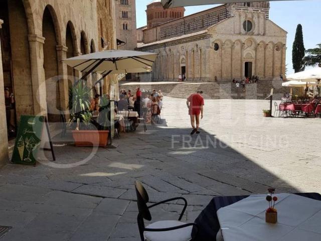 Palazzo / Stabile in vendita a Massa Marittima GR