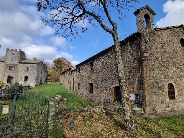 Palazzo / Stabile in vendita a Acquapendente VT