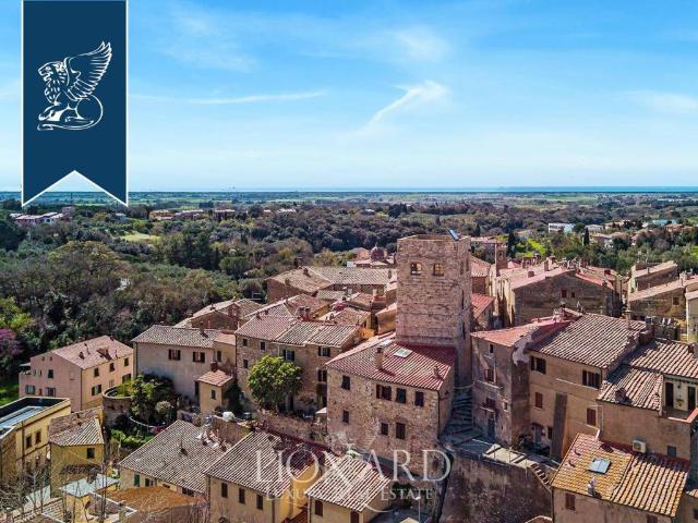 Palazzo / Stabile in vendita a Bibbona LI