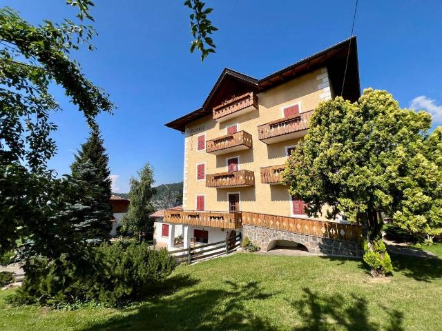Palazzo / Stabile in vendita a Borgo d'Anaunia TN