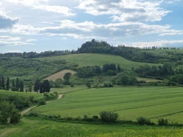 Palazzo / Stabile in vendita a Fauglia PI