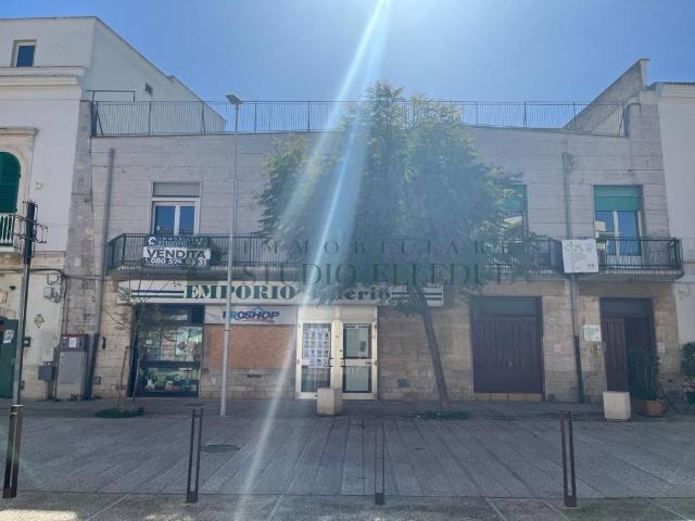 Palazzo / Stabile in vendita a Sannicandro di Bari BA