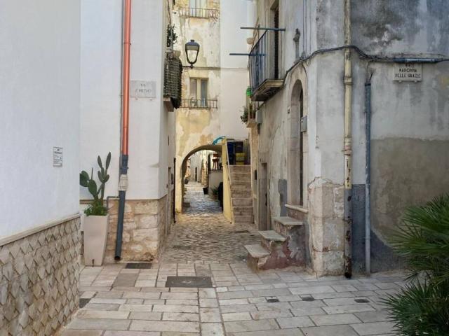 Palazzo / Stabile in vendita a Turi BA