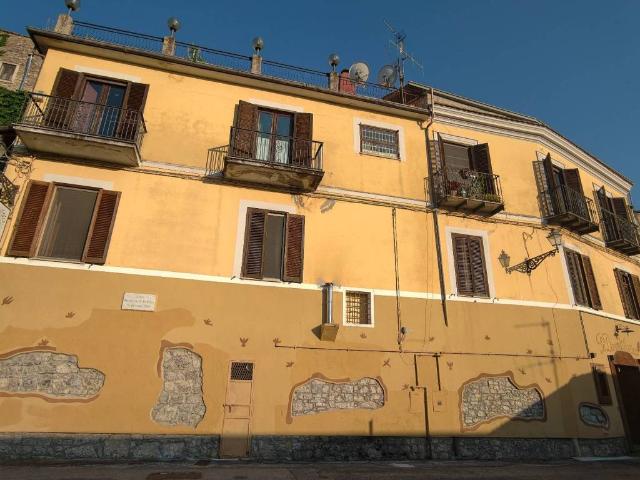 Palazzo / Stabile in vendita a Viggianello PZ