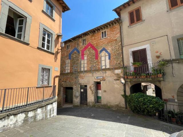 Palazzo / Stabile in vendita a Villa Basilica LU