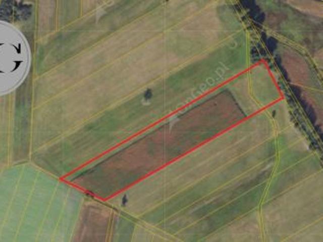 Palczyn, 29500 m² Działka