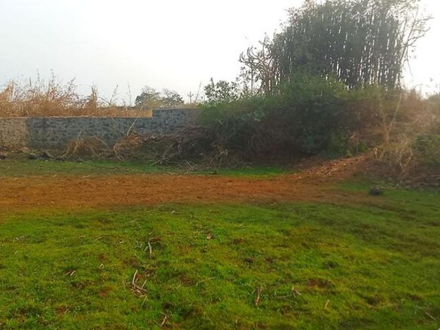 Pali, Raigad 1089 Sq.Ft. Plot in Pali Navi Mumbai Listing ID: #10364